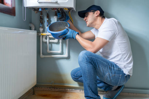 Best Plumbing Inspections & Maintenance in Breckenridge, MI